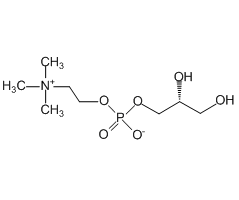 L-alpha-Glycerophosphorylcholine|C4X-21711|28319-77-9
