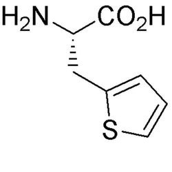 b-(2-Thienyl)-L-alanine|01320|22951-96-8