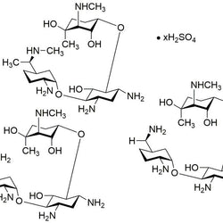 Gentamicin sulfate salt powder|38481|1405-41-0