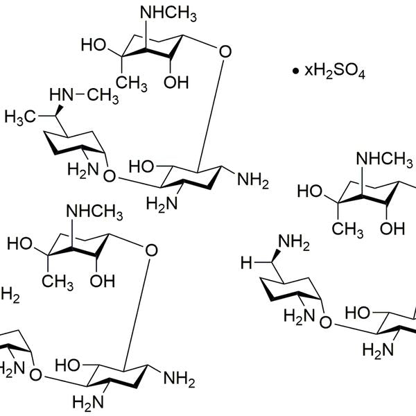 Gentamicin sulfate salt powder|38481|1405-41-0