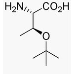 O-tert-Butyl-L-allo-threonine|05845|201353-89-1