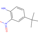 4-(tert-Butyl)-2-nitroaniline|CS-W004854|6310-19-6