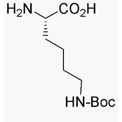 Ne-Boc-L-Lysine|00363|2418-95-3