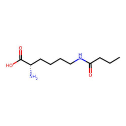 N6-Butyryl-L-lysine|CS-0100615|75396-30-4