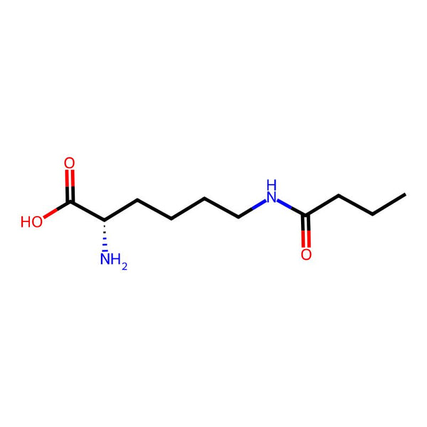N6-Butyryl-L-lysine|CS-0100615|75396-30-4