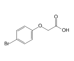 4-Bromophenoxyacetic acid, 98%|385834|1878-91-7