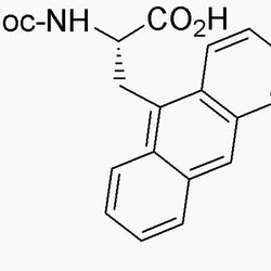 Boc-3-(9-anthryl)-L-alanine|03824|332065-09-5