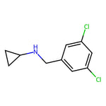 N-(3,5-Dichlorobenzyl)cyclopropanamine|CS-0299801|1094641-89-0