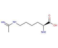 H-Lys(acetimidoyl)-OH|CPTD787825|53774-63-3