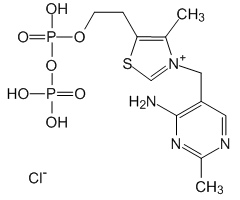 Thiamine pyrophosphate chloride, 98%|394244|154-87-0