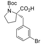 Boc-(S)-a-(3-bromobenzyl)proline|15760|1217662-71-9