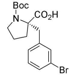 Boc-(S)-a-(3-bromobenzyl)proline|15760|1217662-71-9