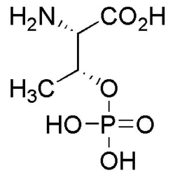 L-Threonine O-phosphate|16342|1114-81-4