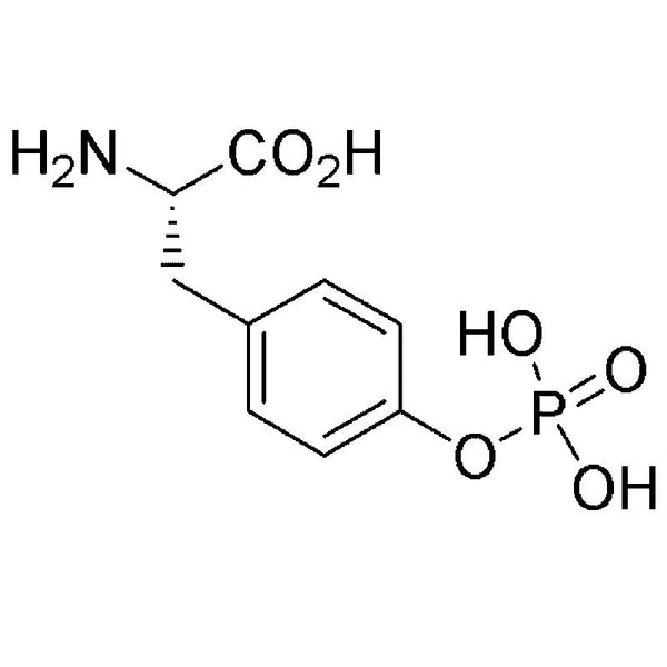 O-Phospho-L-tyrosine|12121|21820-51-9