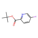 tert-Butyl 5-iodopicolinate|CS-0498794|165275-95-6