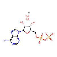 Adenosine 5'-diphosphate monopotassium salt dihydrate, 98%|165708|72696-48-1