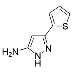 5-Amino-3-(2-thienyl)pyrazole|25706|96799-03-0