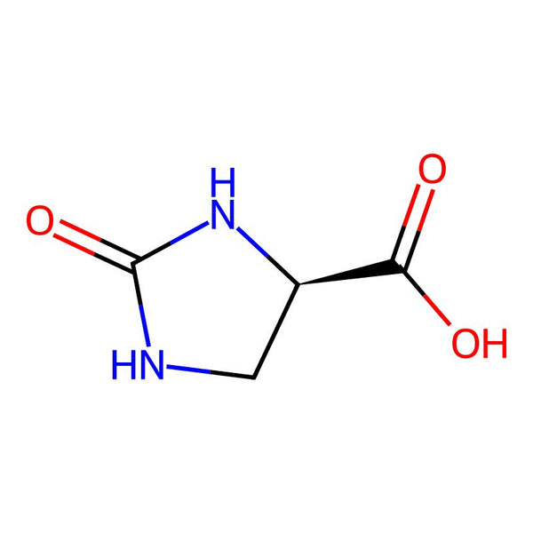 (R)-2-Oxoimidazolidine-4-carboxylic acid|CS-0527049|214767-15-4