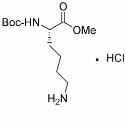 Na-Boc-L-lysine methyl ester hydrochloride|12408|55757-60-3