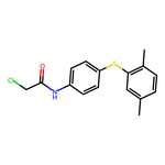 2-Chloro-n-{4-[(2,5-dimethylphenyl)sulfanyl]phenyl}acetamide|CS-0223125|793727-97-6