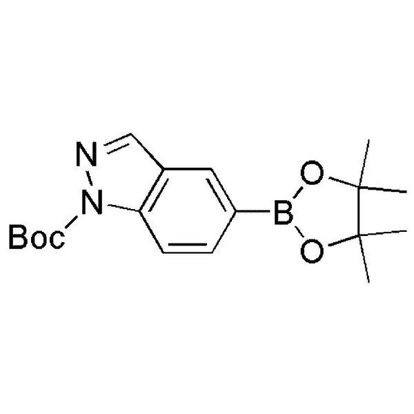 1-Boc-1H-indazole-5-boronic acid pinacol ester|19758|864771-44-8