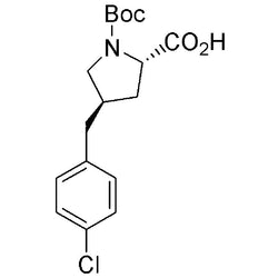 Boc-(R)-g-(4-chlorobenzyl)-L-proline|15904|959576-35-3