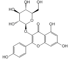 Astragalin, 98%|274917|480-10-4