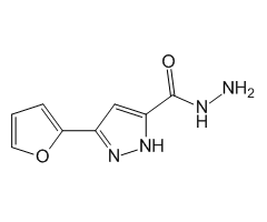 3-(Furan-2-yl)-1H-pyrazole-5-carbohydrazide, 97%|224171|92352-24-4