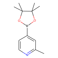 2-Methyl-4-(4,4,5,5-tetramethyl-1,3,2-dioxaborolan-2-yl)pyridine, 98%|402143|660867-80-1
