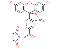 6-Carboxyfluorescein N-hydroxysuccinimide ester, 90%, Single isomer|938322|92557-81-8