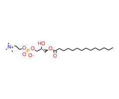 1-Myristoyl-sn-glycero-3-phosphocholine|CPTD785401|20559-16-4