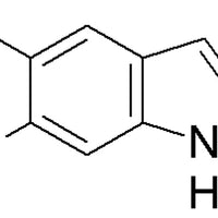 6-Chloro-5-fluoroindole|21211|122509-72-2