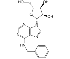 N<sup>6</sup>-Benzyladenosine, 99%|411372|4294-16-0
