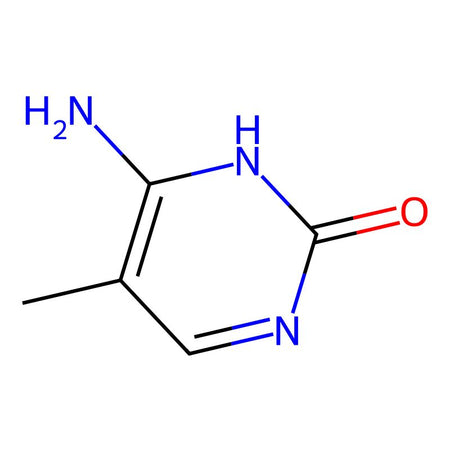 5-Methylcytosine, 97%|170642|554-01-8