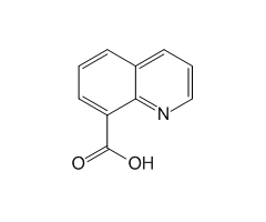 8-Quinolinecarboxylic acid, 98%|100127|86-59-9