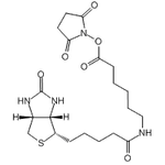 Biotin-C5-NHS Ester|CS-0116277|72040-63-2