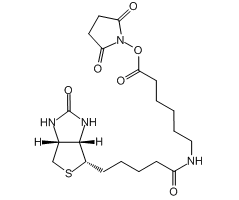 Biotin-C5-NHS Ester|CS-0116277|72040-63-2