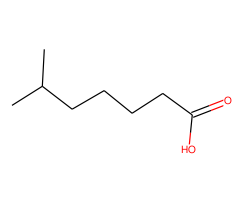 6-Methylheptanoic Acid|C1775239|929-10-2