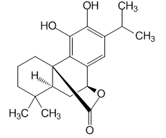 Carnosol, 98%, from Rosemarinus officinalis|417486|5957-80-2