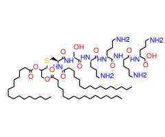 Palmitoyl-Cys((RS)-2,3-di(palmitoyloxy)-propyl)-Ser-Lys-Lys-Lys-Lys-OH|CPTD787681|112208-00-1