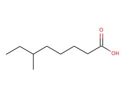 6-Methyloctanoic acid|C1775320|504-99-4