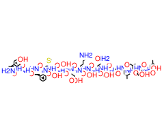 γ-Endorphin|CPTD787695|60893-02-9