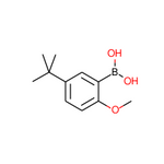 (5-(tert-Butyl)-2-methoxyphenyl)boronic acid|CS-0154916|128733-85-7