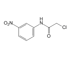 2-Chloro-3'-nitroacetanilide, 98%|427618|10147-71-4