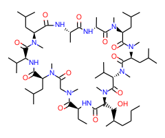Ciclosporin EP impurity B|C4X-19988|59865-15-5