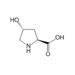 L-Hydroxyproline|CS-W008928|51-35-4