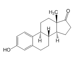 Estriol EP Impurity B (Estrone)|C4X-14162|53-16-7