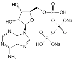 Adenosine 5'-triphosphate disodium salt, 98%|977666|987-65-5