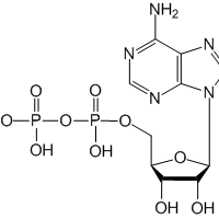 Adenosine 5'-diphosphate|CS-W011634|58-64-0