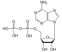Adenosine 5'-diphosphate|CS-W011634|58-64-0